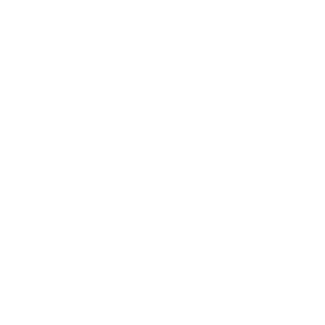 telecamera